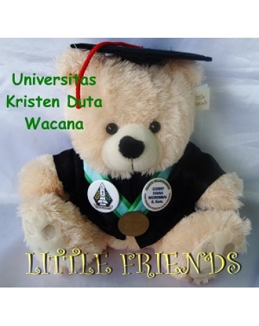 Boneka Wisuda Universitas Kristen Duta Wacana (30 cm)